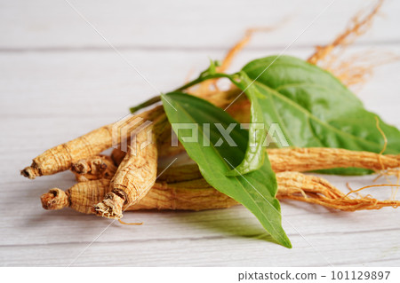 Ginseng roots and green leaf, healthy food. Ginseng roots and green leaf, healthy food. 101129897