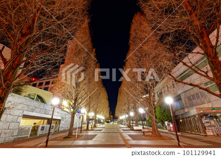 橫濱港北新城的夜景 橫濱港北新城的夜景 101129941