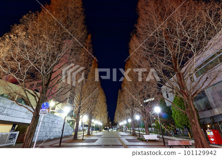 橫濱港北新城的夜景 橫濱港北新城的夜景 101129942