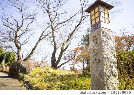 Scenery of Asukayama Park Scenery of Asukayama Park 101129979