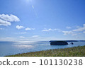 island in the sea 101130238