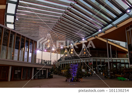 Illumination of Tennoji Park and Akira Harukasu 101130254