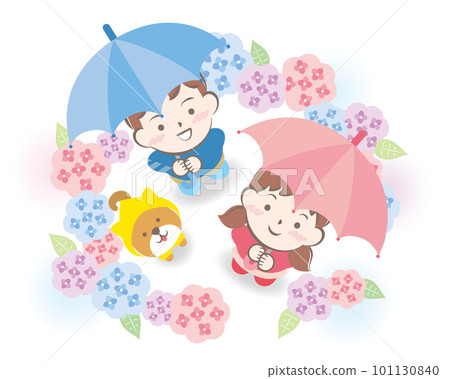 Children with umbrellas and Shiba Inu surrounded by hydrangeas 101130840