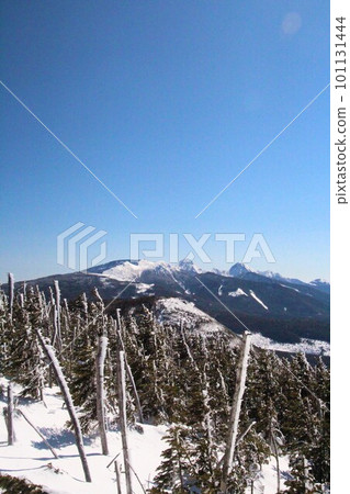 Yatsugatake山 101131444