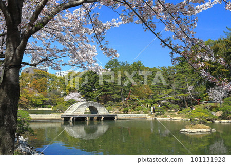 Hiroshima Shukkeien 101131928