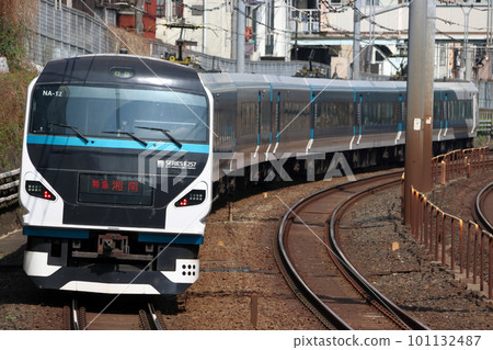Limited Express Shonan Train: E257 series train 101132487