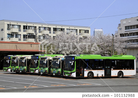 春天的都營巴士小瀧橋車庫 101132988