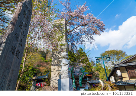 櫻花盛開的清瀧站前風景 101133321