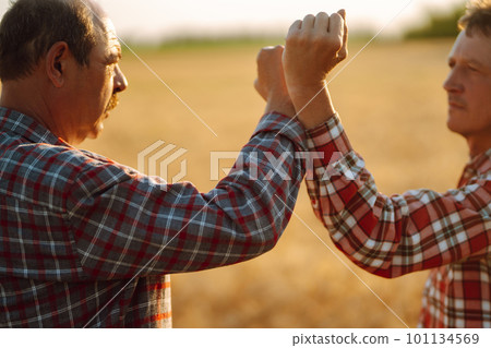 Farmers in sterile medical masks on his face greet their elbows on a wheat field. Stop handshakes. 101134569