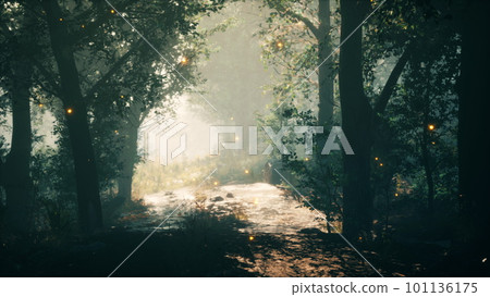 Misty morning in the woods 101136175