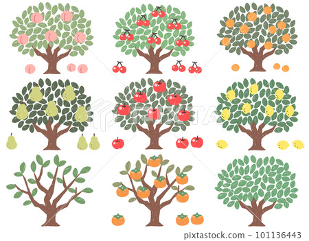 Set illustration of fruit trees without main line Set illustration of fruit trees without main line 101136443