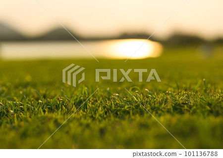 Green grass with sunset view, Green meadow with river viewpoint 101136788