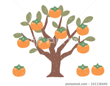 Illustration of a persimmon tree without main lines 101136840