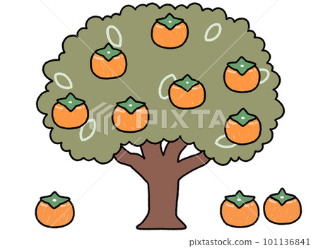 Illustration of a persimmon tree with main lines 101136841