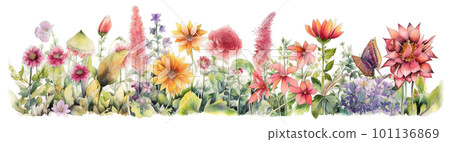 meadow flowers, watecolor banner illustration isolated on white, AI generative image meadow flowers, watecolor banner illustration isolated on white, AI generative image 101136869