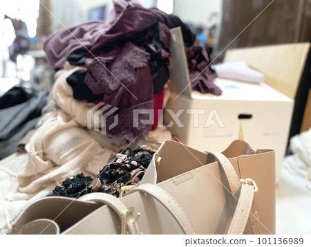 Women's bag and messy clothes 101136989