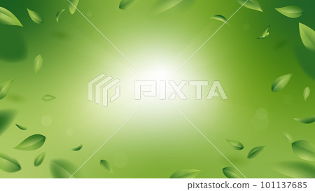 Flying realistic leaves abstract background. Macro foliage in motion. Frame design with organic tea leaf. 101137685