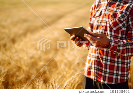 Tablet in the hands of a farmer. Smart farm. Farmer checking his crops on an agricultural field. Tablet in the hands of a farmer. Smart farm. Farmer checking his crops on an agricultural field. 101138461