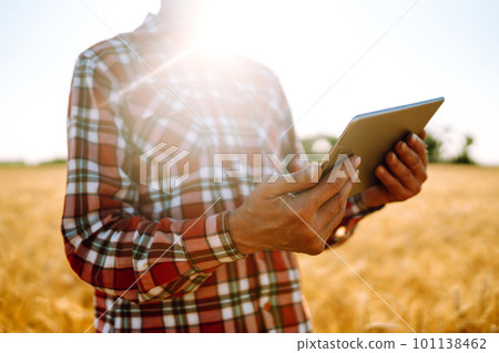 Tablet in the hands of a farmer. Smart farm. Farmer checking his crops on an agricultural field. Tablet in the hands of a farmer. Smart farm. Farmer checking his crops on an agricultural field. 101138462