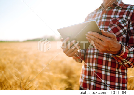 Tablet in the hands of a farmer. Smart farm. Farmer checking his crops on an agricultural field. 101138463