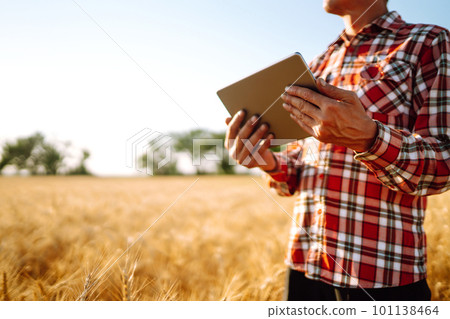 Tablet in the hands of a farmer. Smart farm. Farmer checking his crops on an agricultural field. Tablet in the hands of a farmer. Smart farm. Farmer checking his crops on an agricultural field. 101138464