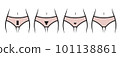 Lower half body shape and panties outline realistic for type of female bikini waxing. 101138861