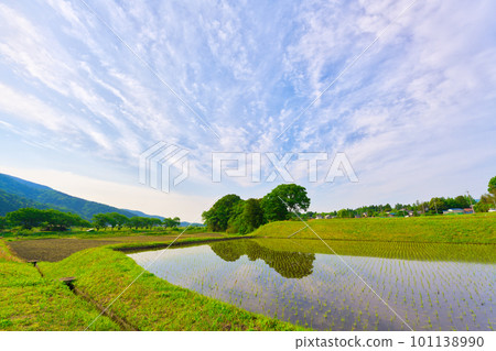 [滋賀縣] 5月，完成水稻種植的稻田和新綠的里山風景 101138990