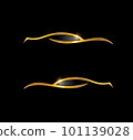 Gold Car Logo Vector icon 101139028