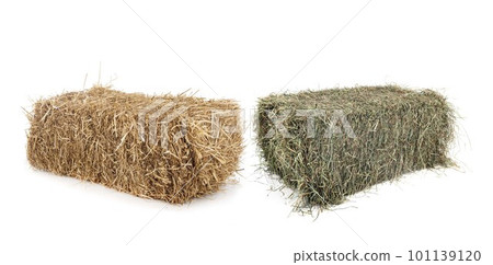 bundles of straw and hay bundles of straw and hay 101139120