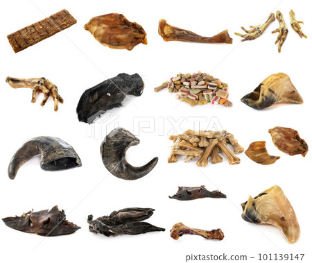gnawing food for dog 101139147