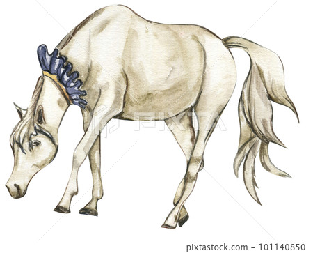 Watercolor hand drawn circus white horse on the white background. Horse illustration. Watercolor painting of a galloping horse. Perfect for greetings card, poster, invitation and party decoration. Watercolor hand drawn circus white horse on the white background. Horse illustration. Watercolor painting of a galloping horse. Perfect for greetings card, poster, invitation and party decoration. 101140850