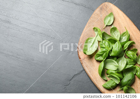 Fresh basil on grey table, top view. Space for text 101142106