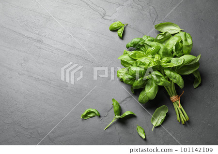 Fresh basil on grey table, flat lay. Space for text Fresh basil on grey table, flat lay. Space for text 101142109
