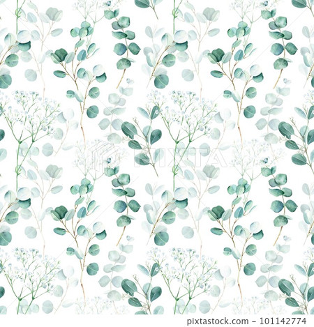 Seamless watercolor pattern with eucalyptus and gypsophila branches on white background. Can be used for wedding prints, gift wrapping paper, kitchen textile and fabric prints. 101142774