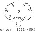 A line drawing illustration of a simple tree with simplified leaves 101144698
