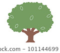 Color illustration without the main line of a simple tree overgrown with simplified leaves 101144699