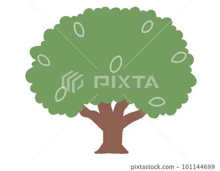 Color illustration without the main line of a simple tree overgrown with simplified leaves 101144699