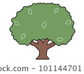 Color illustration of a simple tree overgrown with simplified leaves 101144701