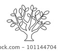 Line drawing illustration of a simple tree with few leaves 101144704