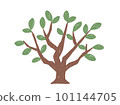 Color illustration without main line of a simple tree with few leaves 101144705