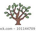 Color illustration of a simple tree with few leaves 101144709