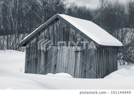 Old shed at winter morning, 101144849