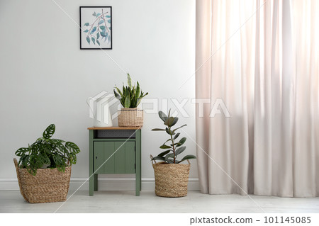 Different tropical plants in wicker pots near white wall at home 101145085