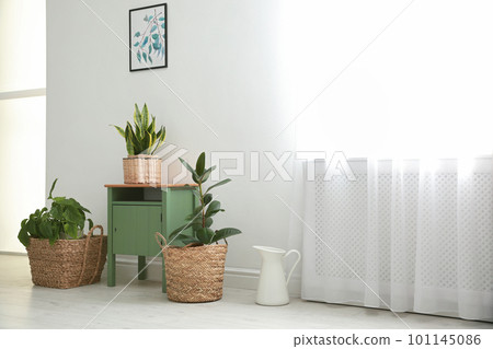 Different tropical plants in wicker pots near white wall at home 101145086