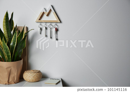 Wooden key holder on light wall indoors. Space for text 101145116