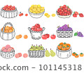 Assortment illustration set of various fruits 101145318