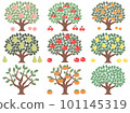 Color illustration without main line of various fruit trees 101145319