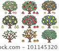 Color illustration of various fruit trees 101145320