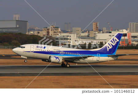 All Nippon Airways Boeing 737-500 "Super Dolphin" landing at Osaka International Airport 101146012