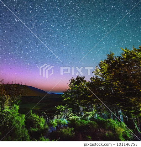 從森林看到的星空 101146755
